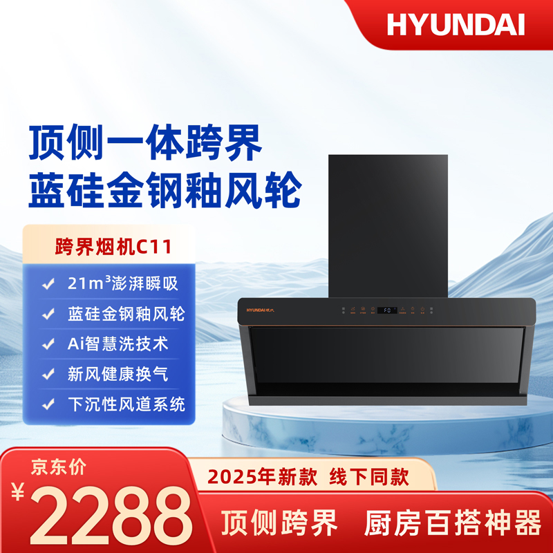 CXW-300-C11
