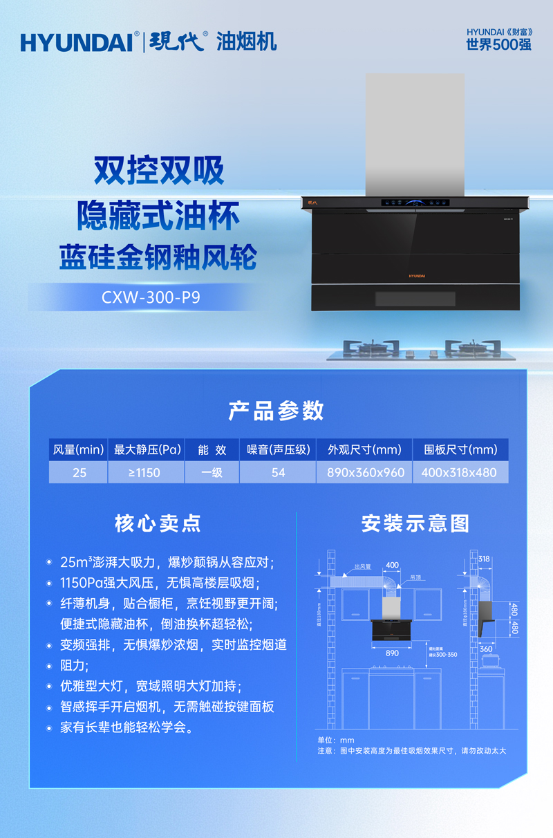 CXW-300-P9.jpg